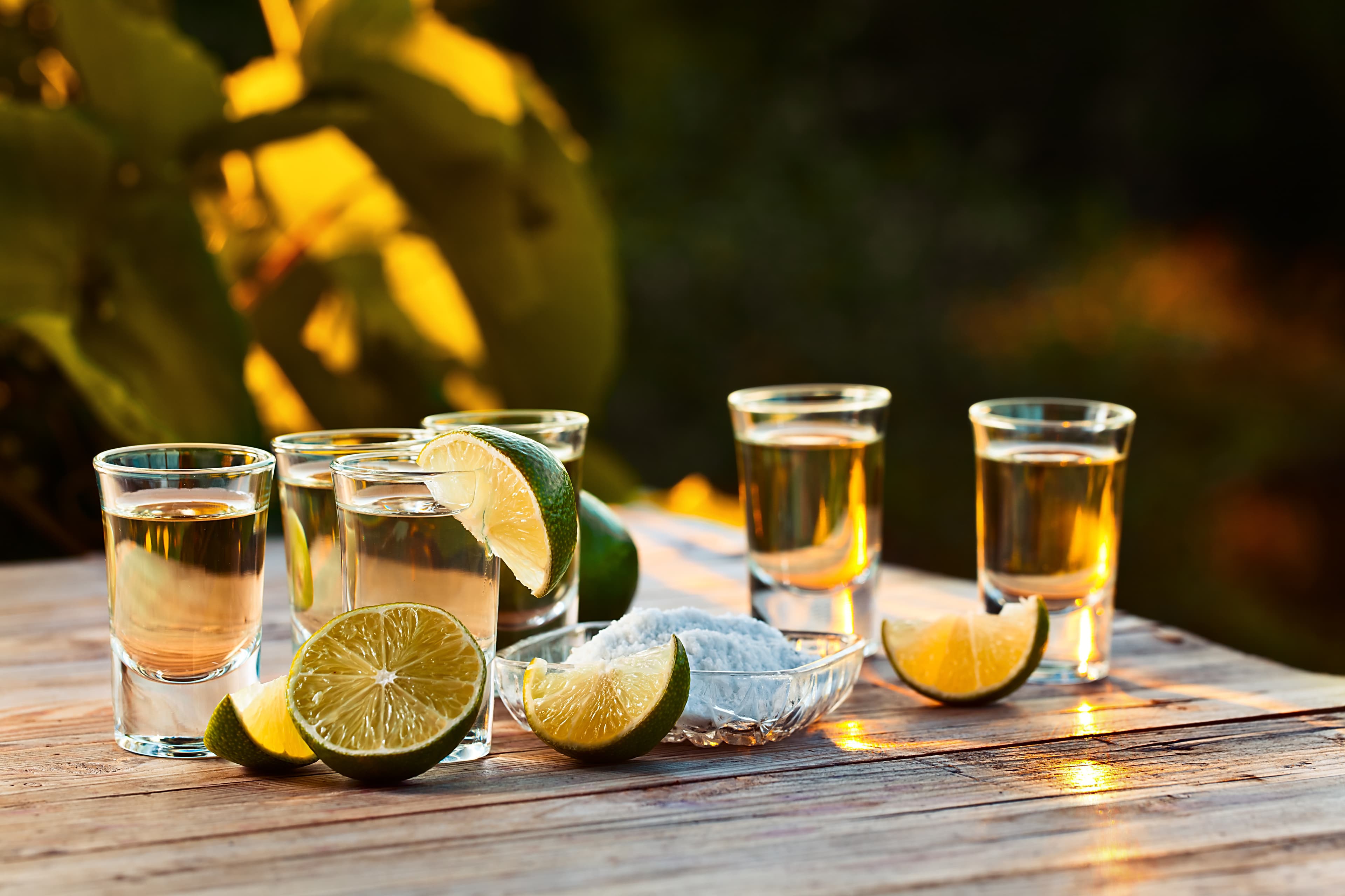 Virtual Agave Spirit Tasting Experience